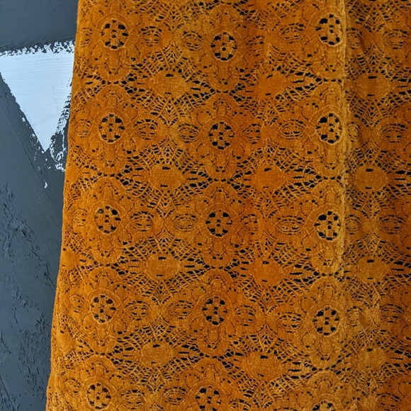 Maeve Amis lace dress! - Picture 3 of 7